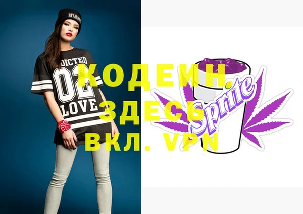 гашик Бородино