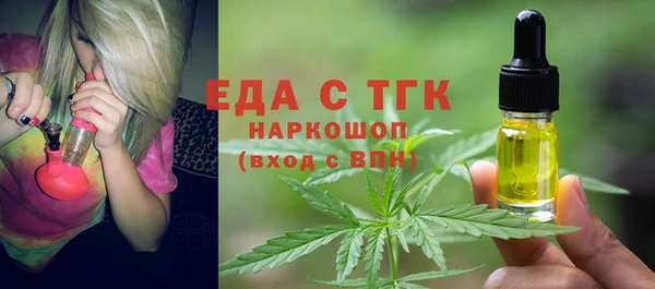 гашик Бородино