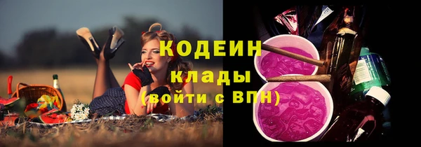 гашик Бородино
