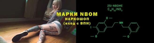 гашик Бородино