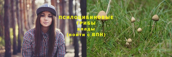 гашик Бородино