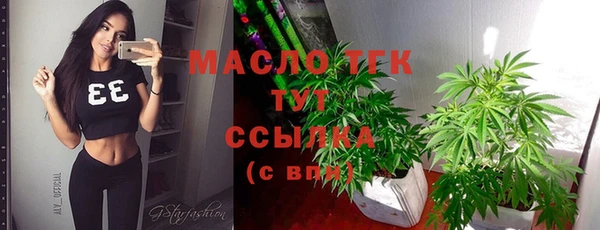 гашик Бородино
