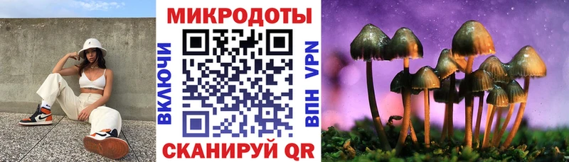Галлюциногенные грибы Cubensis  Купить закладки  Макушино 